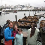 Sea Lions at Pier 39