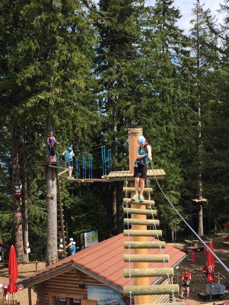 The high ropes course on Mount Pilatus; great fun for three hours, but we paid for it the next day