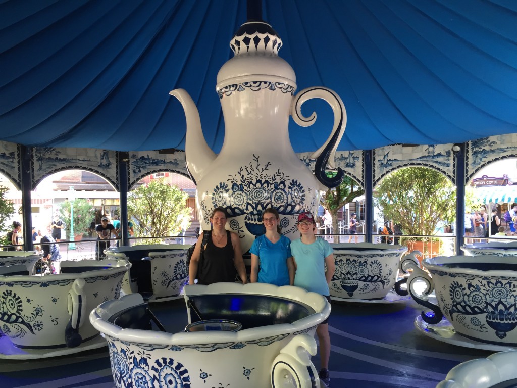 The teacup ride in Holland, with dutch china